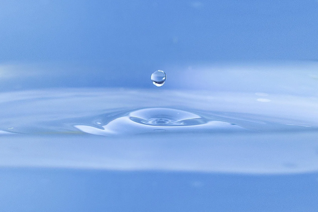 Toaleta na działkę w Warszawie — komfortowe rozwiązania dla ROD